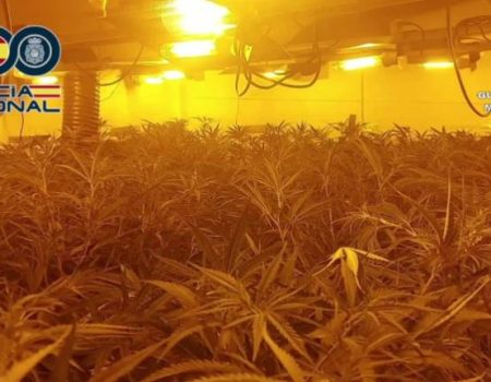 National Police Drug Farm