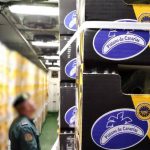 Alicante company is being investigated for selling bananas as Canary Island bananas – Costa Blanca Daily