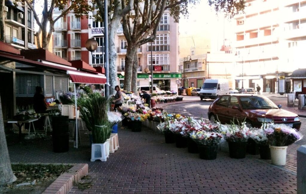 Cartagena flowers 02