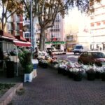 Cartagena flowers 02